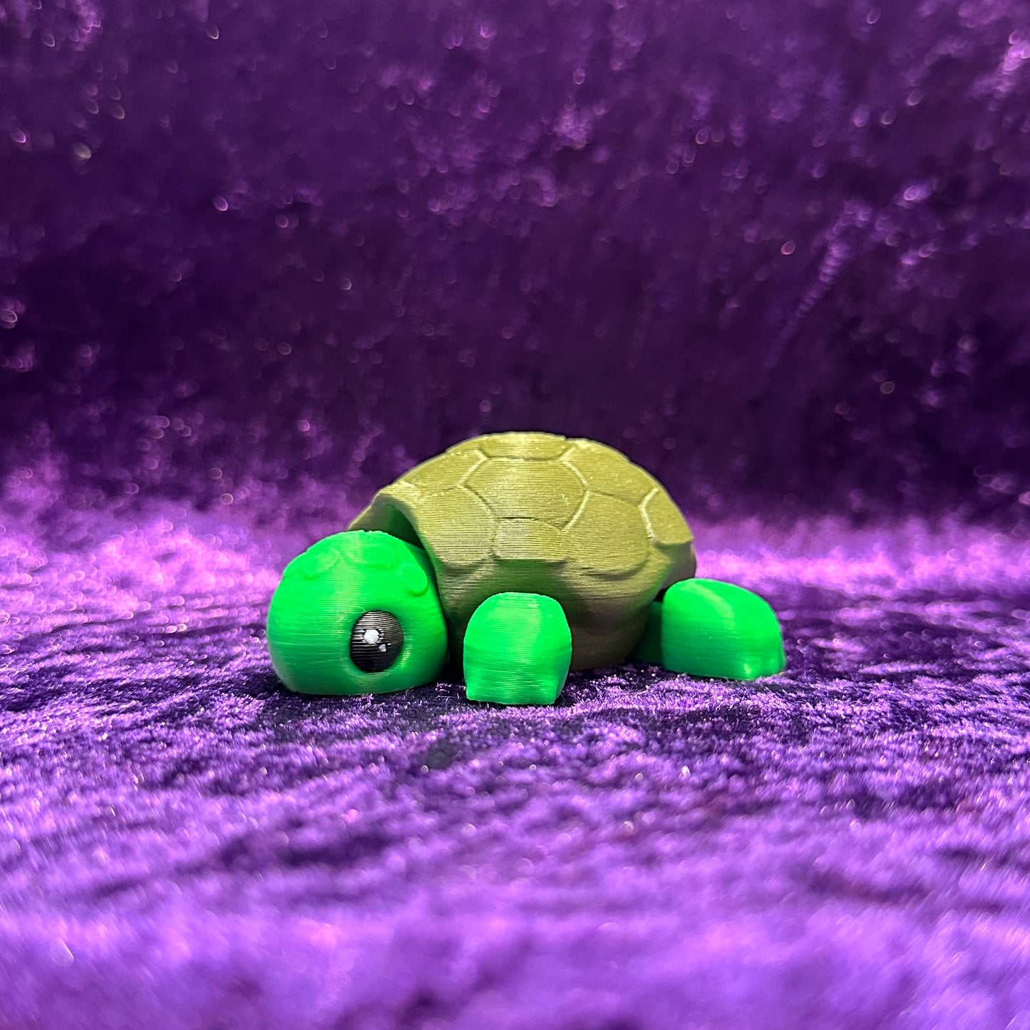 Turtle (Large)