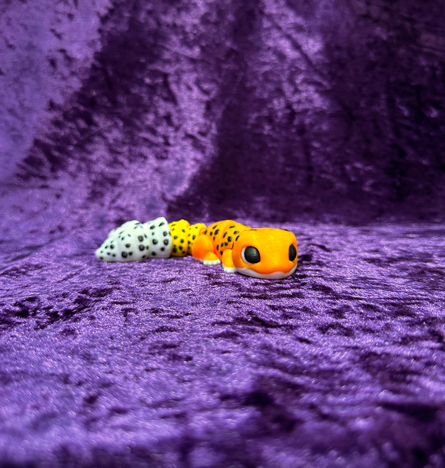 Leopard Gecko (Large)