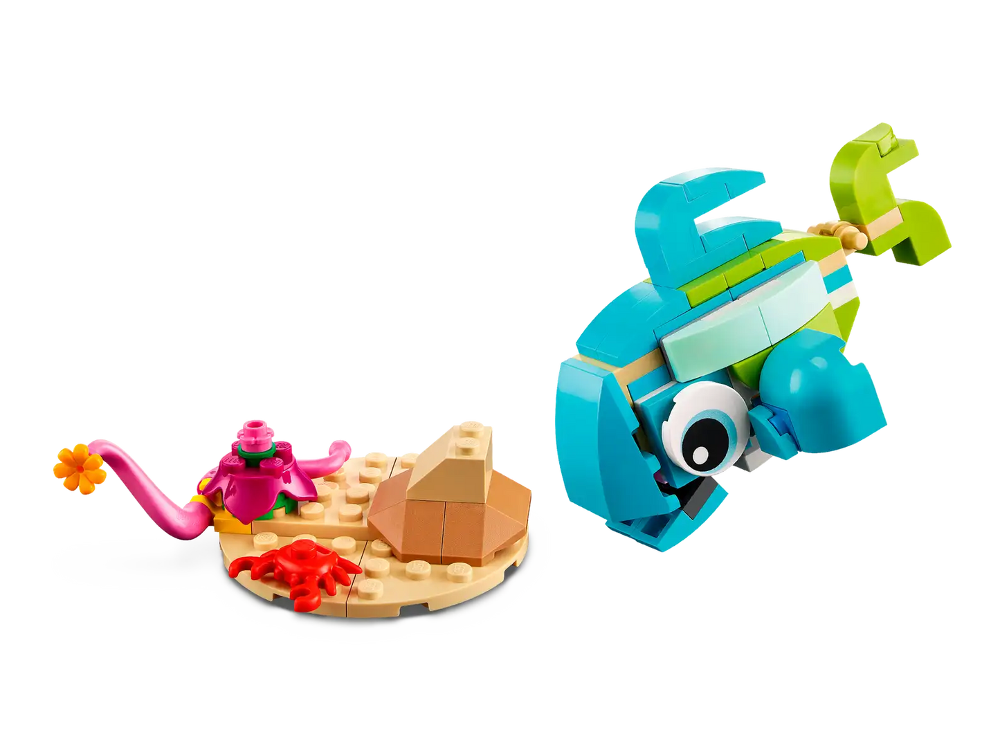 CREATOR - Dolphin and Turtle