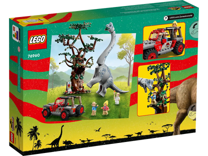 Brachiosaurs Discovery