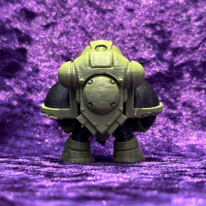 Space Marine (Loyalist)