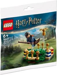 Harry Potter Quidditch Practice